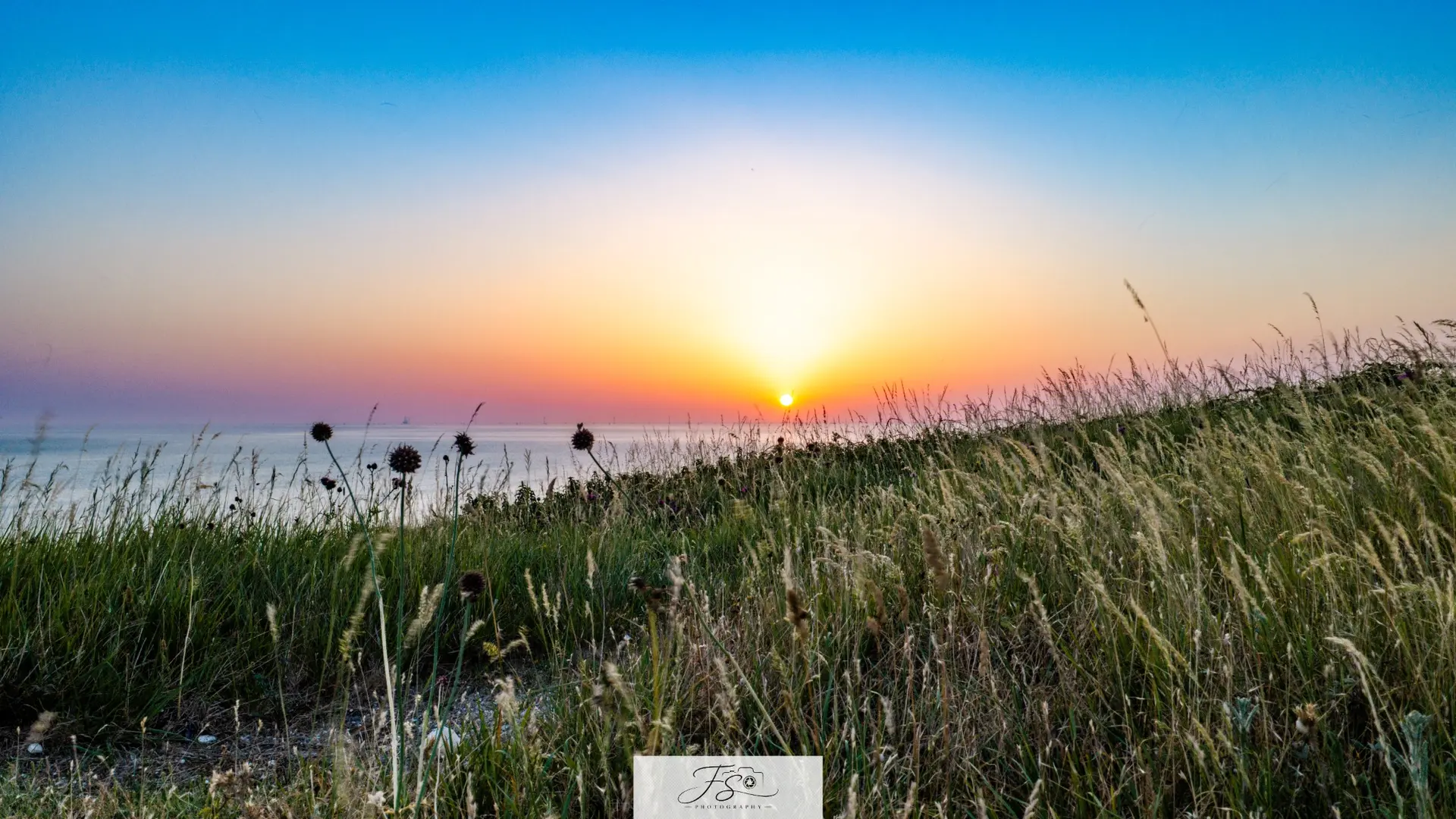 Aube sur la mer — soleil levant derrière les hautes herbes du littoral