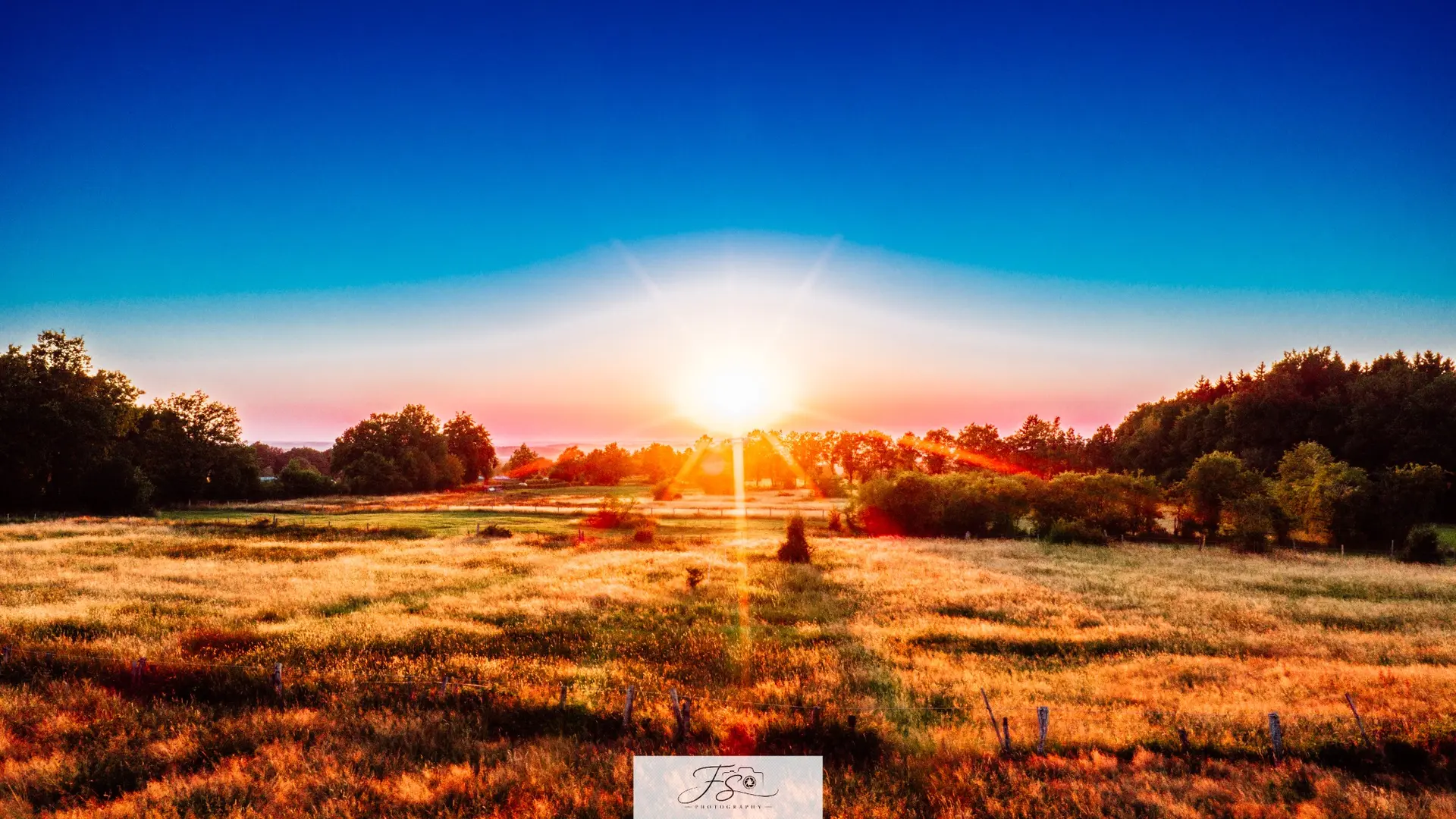 Aube ardente — soleil orange au-dessus d’une prairie et d’une lisière boisée
