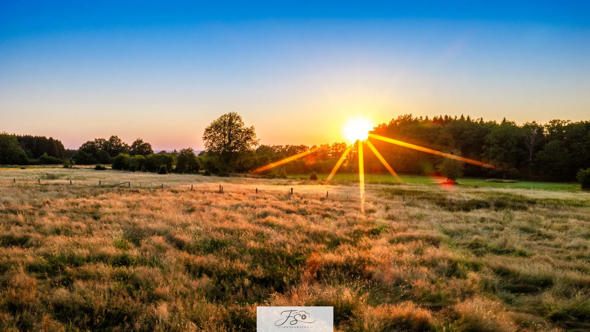 Derniers rayons — rayons du soleil couchant traversant un paysage de prairie