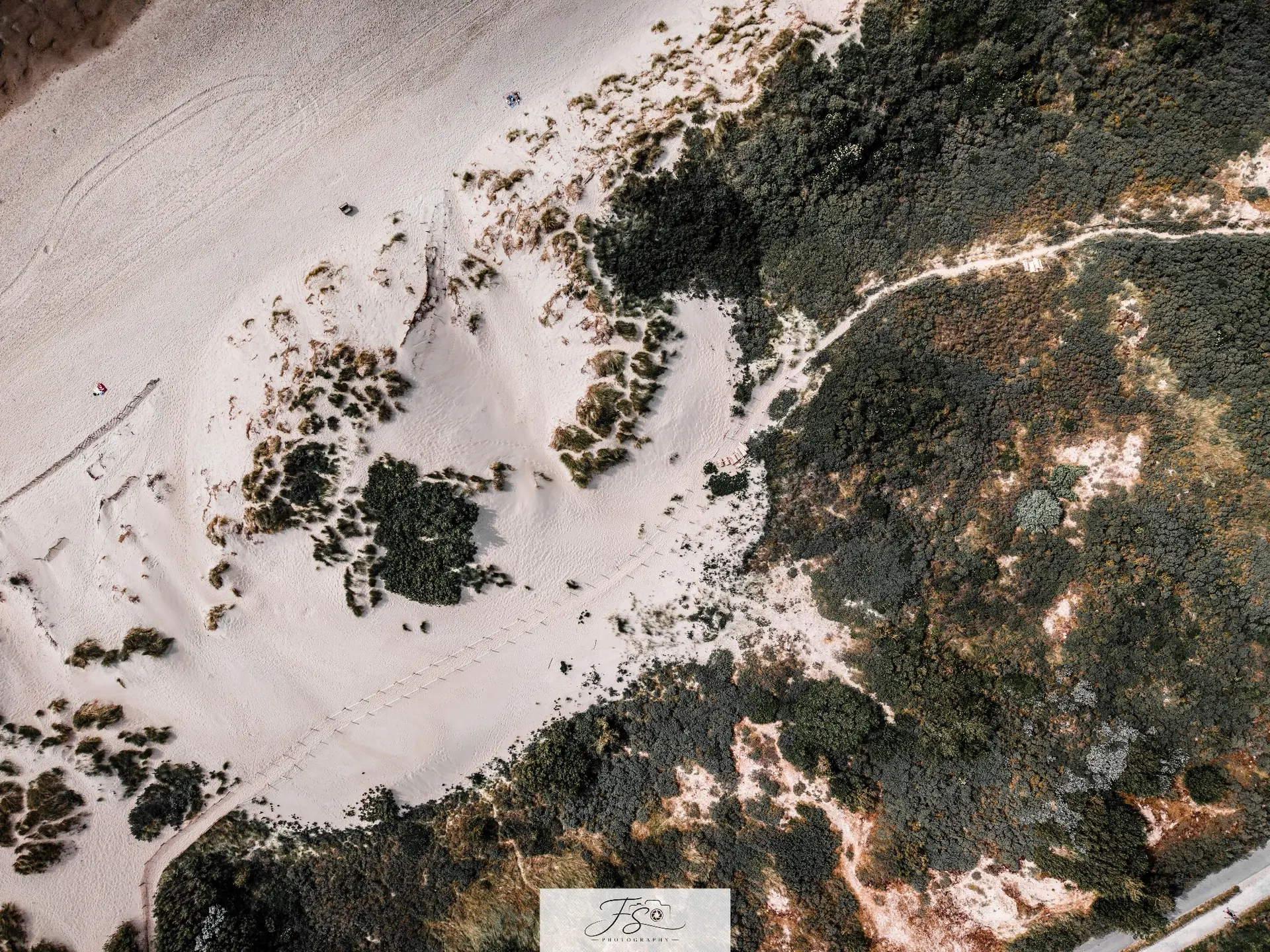 Entre sable et bruyère — dunes et végétation dessinant une composition abstraite vue du ciel
